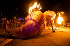 Nocturnal 2011