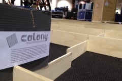 Colony comes to life
